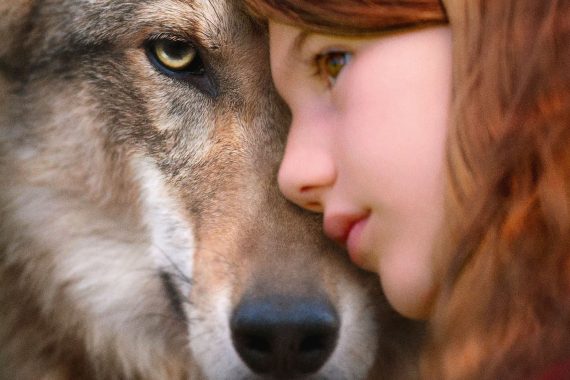 Mystère（ミステール）のネタバレ考察：狼と少女の絆が問う、人間の優しさは偽善か？