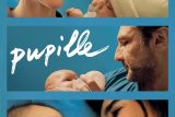 Pupille（ピュピーユ）ネタバレ考察：赤ちゃんを“譲る”母親と“受け取る”母親の、優しさが痛すぎるドラマ