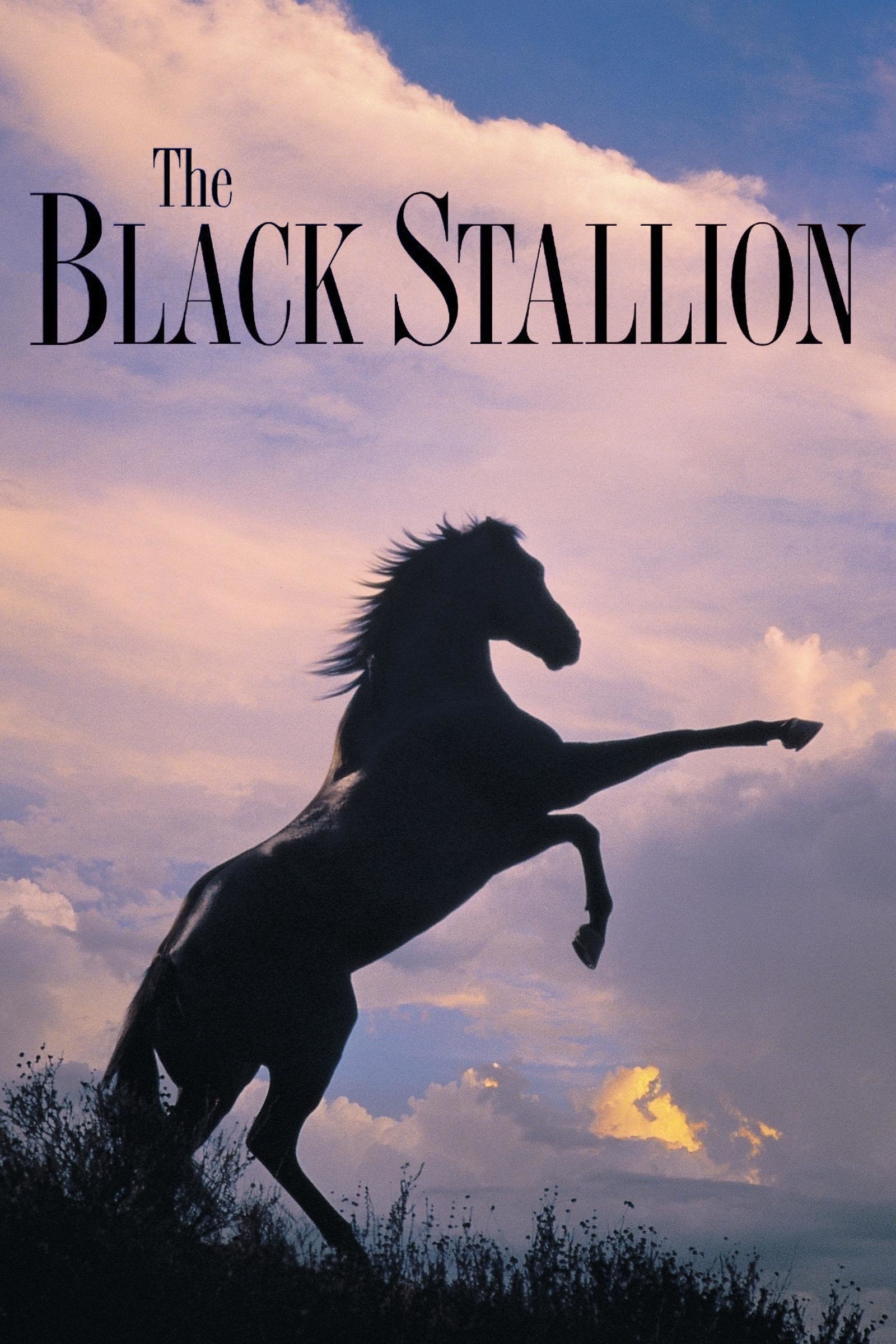 The Black Stallion ネタバレ考察：少年と黒い馬の絆が、孤独と勝利を超える瞬間