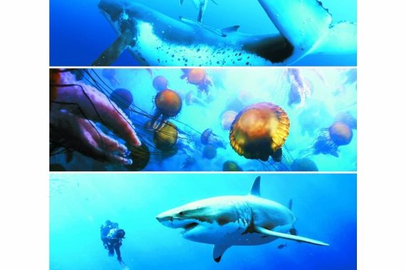 オーシャンズ：映像美の裏に潜む監督の哲学的挑戦【ネタバレ考察】