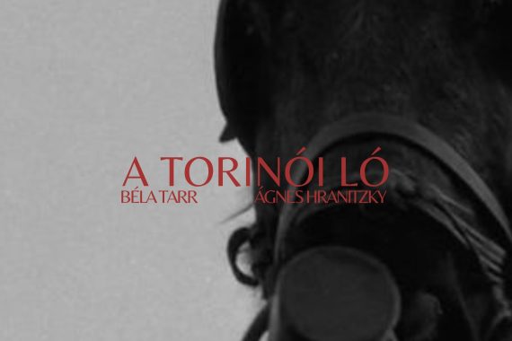 ニーチェの馬：哲学と終末を描く映画の結末とテーマ解説