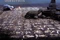春にして夏にして秋にして冬にして春、そしてまた春へ。人生の輪廻を描いた韓国映画の傑作『봄 여름 가을 겨울 그리고 봄』ネタバレ考察