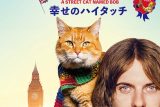 ボブという名の猫 幸せのハイタッチのネタバレ考察：猫が救うのは人生じゃなくて「自分を信じる勇気」だった