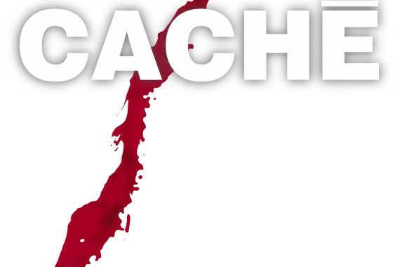 隠された記憶の結末がヤバすぎる… 過去の罪が今を襲う心理スリラーのネタバレ考察