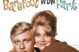 新婚生活の地獄が笑える！『Barefoot in the Park』ネタバレ考察