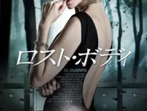 ロスト・ボディのネタバレ考察：犯人は愛人じゃなくて、10年前の交通事故の被害者だった