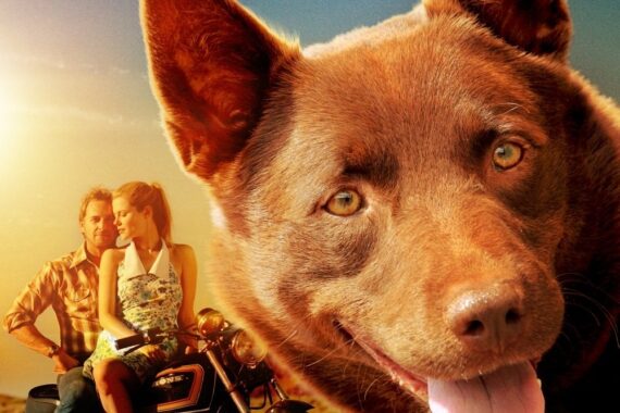 Red Dog ネタバレ考察：一匹の犬が繋いだ、孤独な人間たちの絆