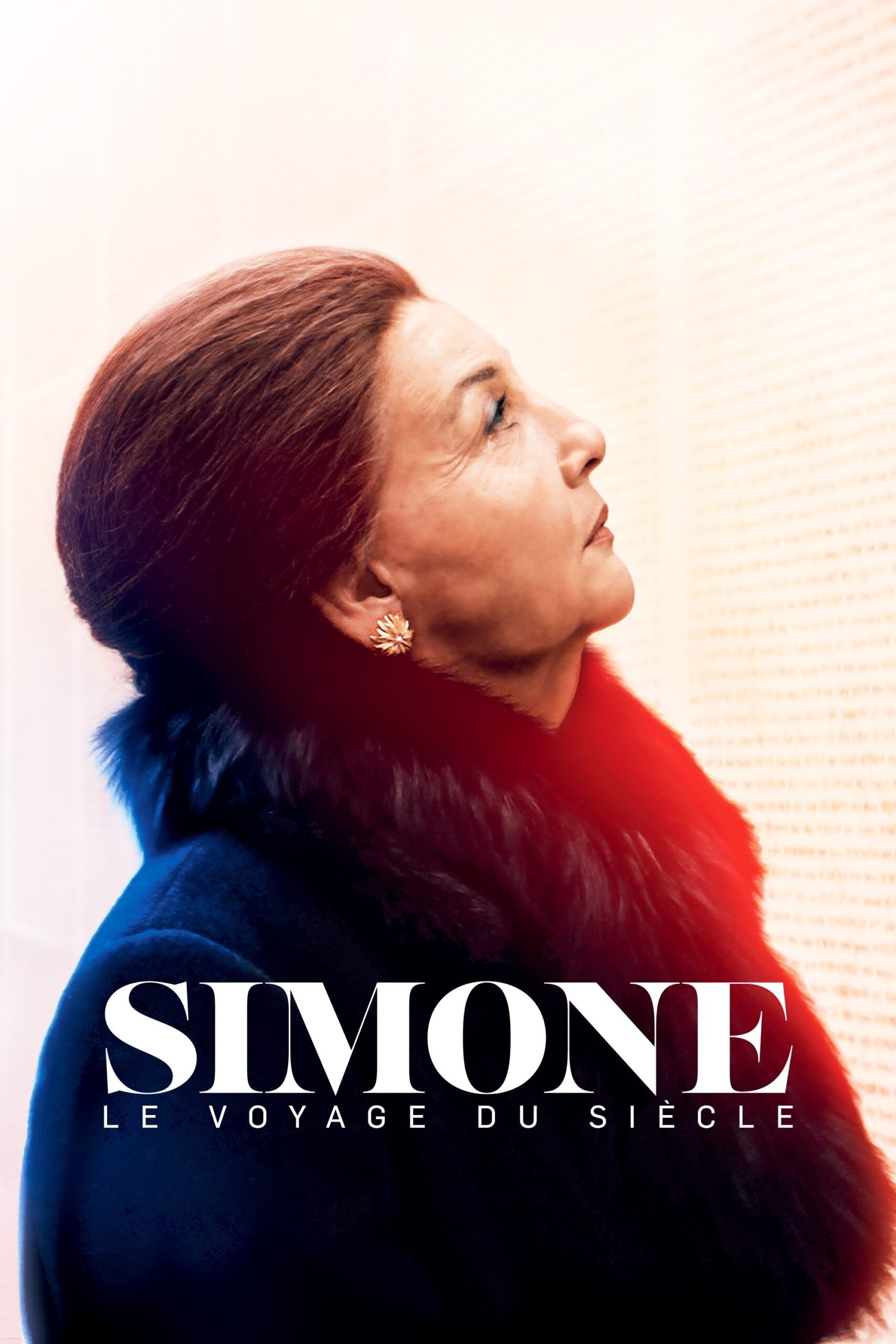 シモーヌ・ヴェイユの生涯を描く『Simone, le voyage du siècle』ネタバレ考察：20世紀を生きた女性の苦悩と希望が刺さる